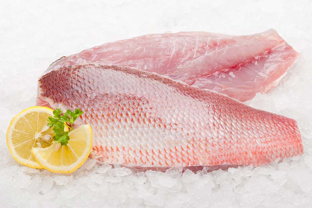 simply styled food photography fresh red mullet on ice